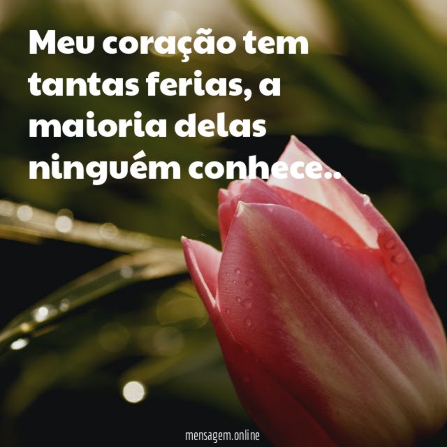 Meu coração tem tantas ferias