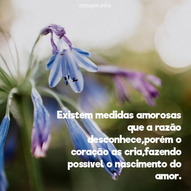 Existem medidas amorosas que a razão desconhece