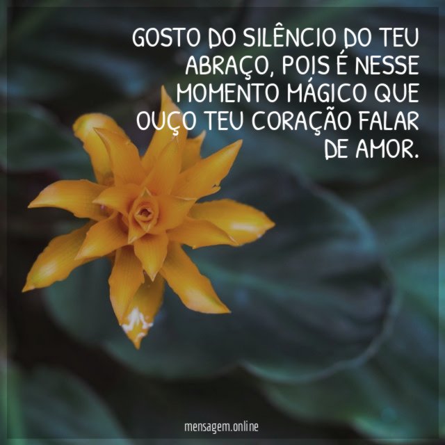 Gosto do silêncio do teu abraço