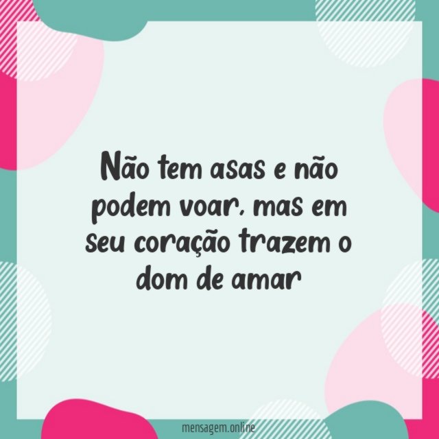 Não tem asas e não podem voar