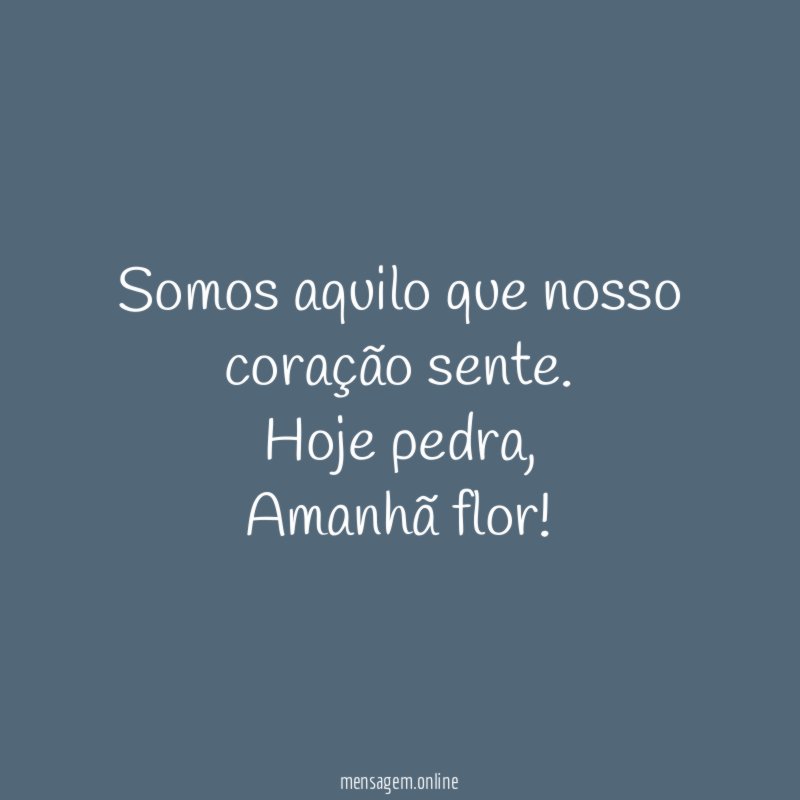 Somos aquilo que nosso coração sente