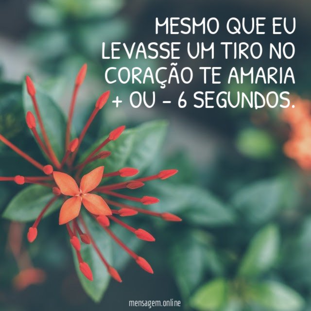 Mesmo que eu levasse um tiro no coração