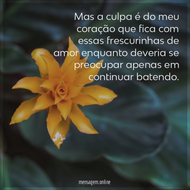 Mas a culpa é do meu coração que
