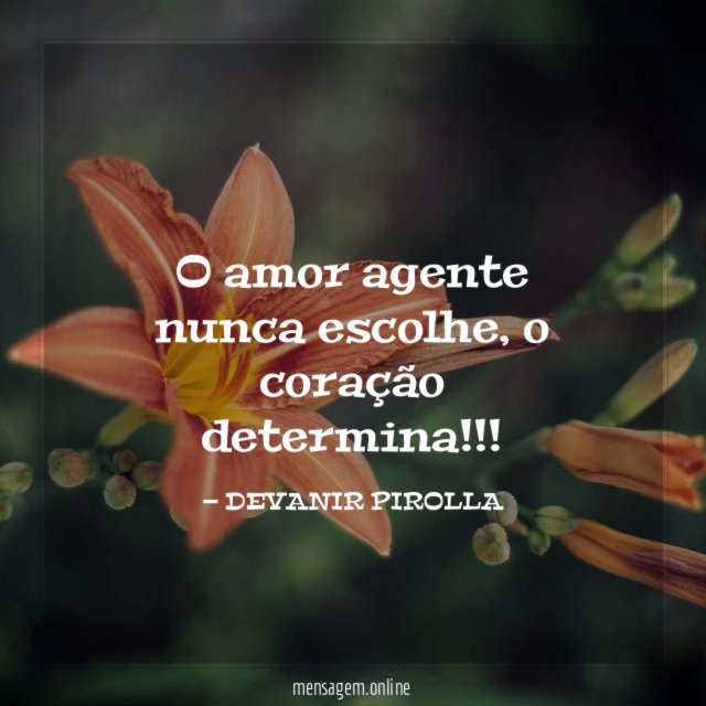 O amor agente nunca escolhe