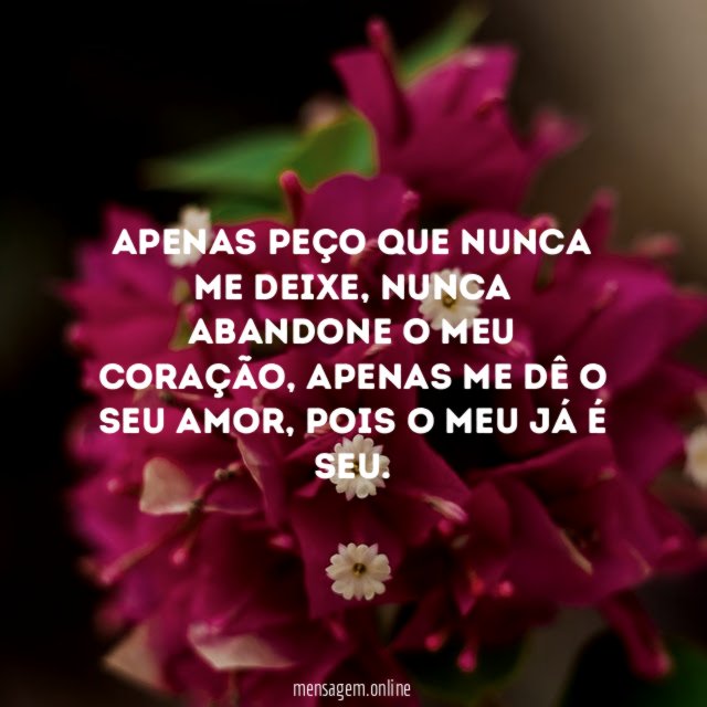 Apenas peço que nunca me deixe