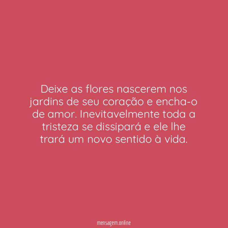Deixe as flores nascerem nos jardins de seu