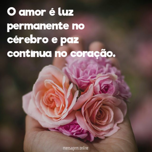 O amor é luz permanente no cérebro