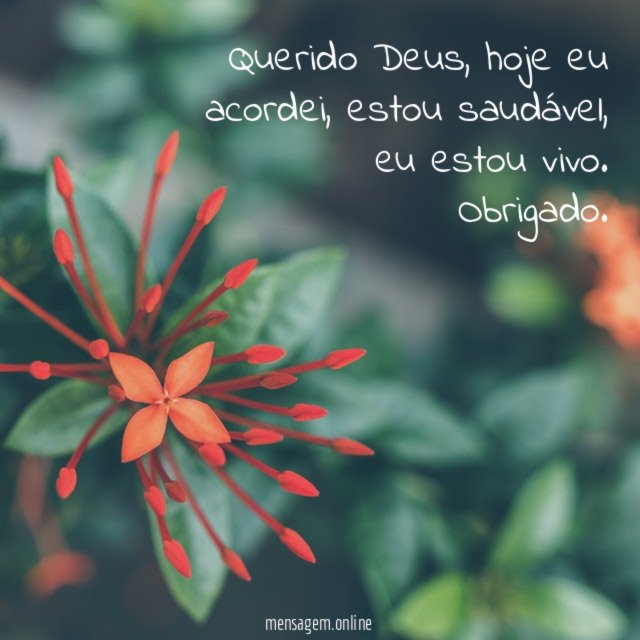 Querido Deus