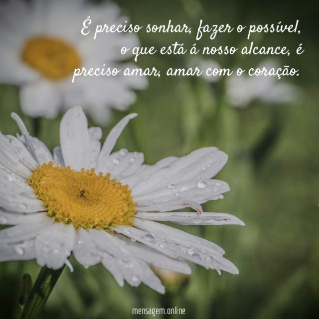 É preciso sonhar