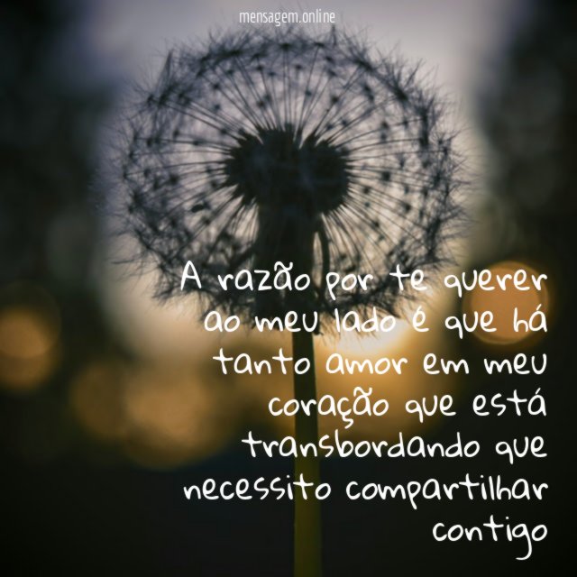 A razão por te querer ao meu lado