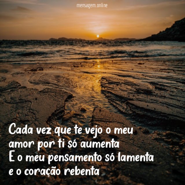 Cada vez que te vejo o meu amor
