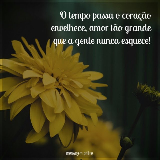 O tempo passa o coração envelhece