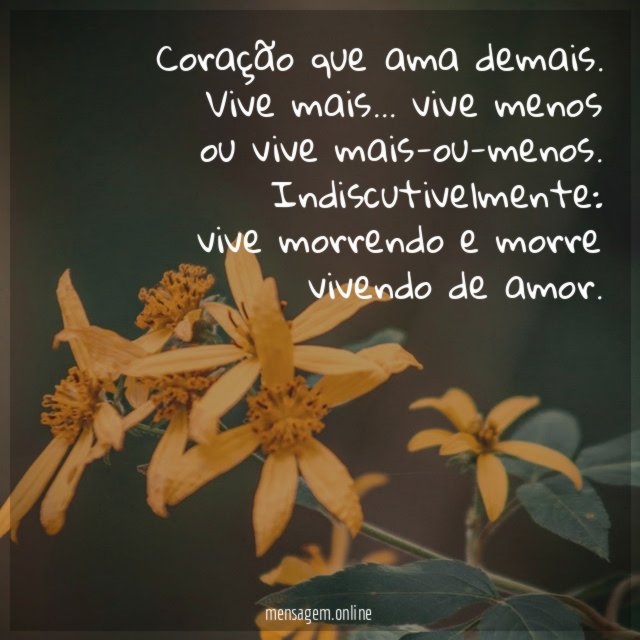 Coração que ama demais