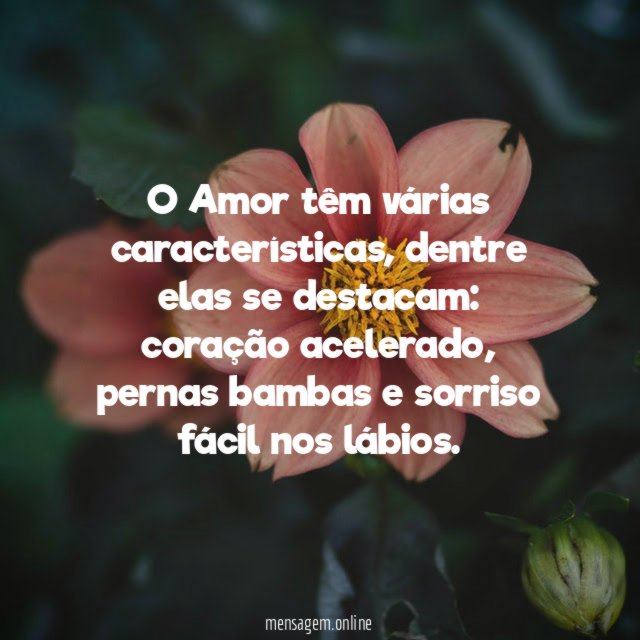 O Amor têm várias características