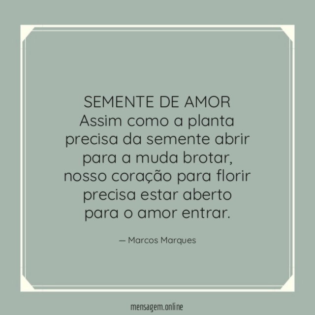 SEMENTE DE AMOR