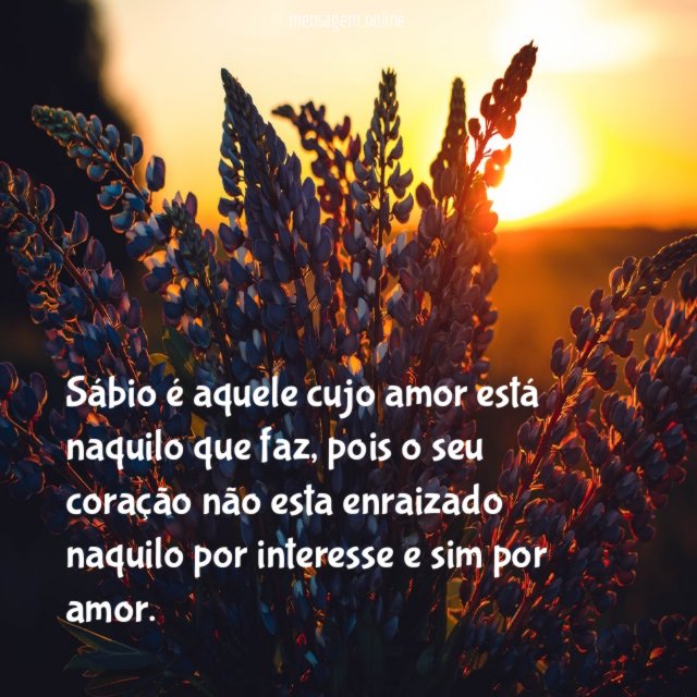 Sábio é aquele cujo amor está naquilo que faz