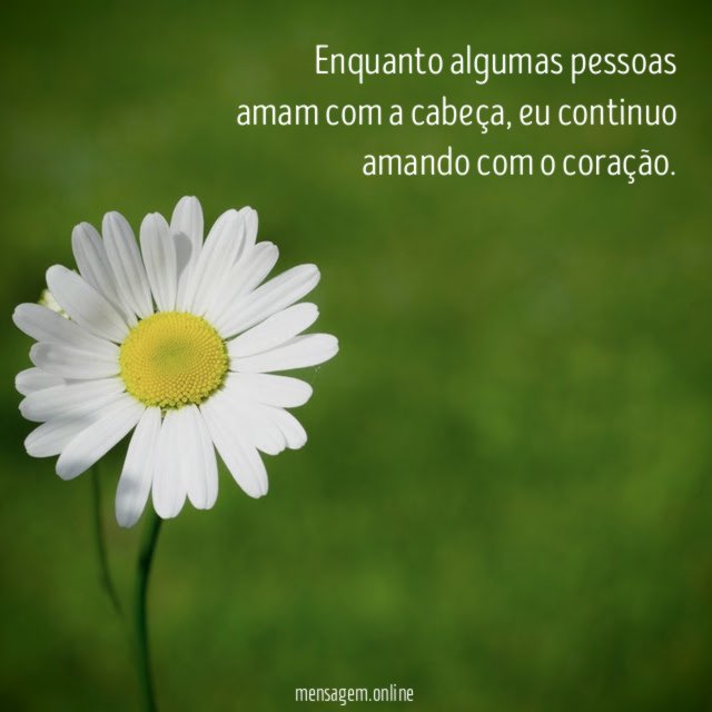 Enquanto algumas pessoas amam com a cabeça