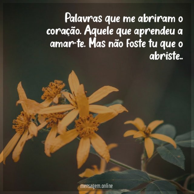 Palavras que me abriram o coração