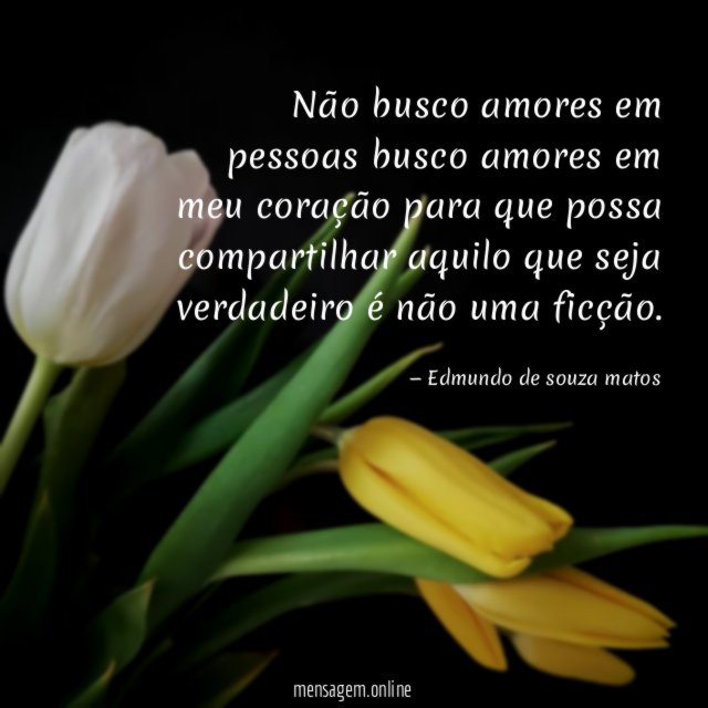 Não busco amores em pessoas busco amores em