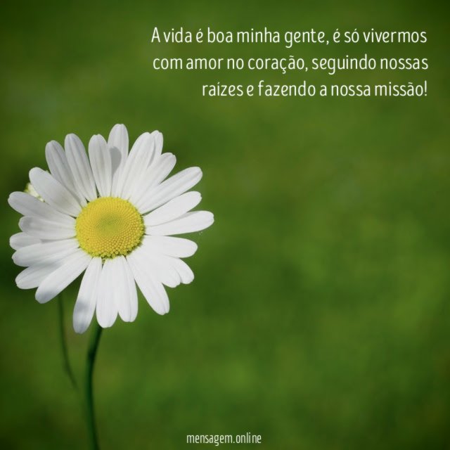 A vida é boa minha gente