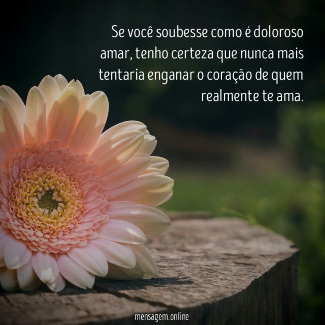 Se você soubesse como é doloroso amar