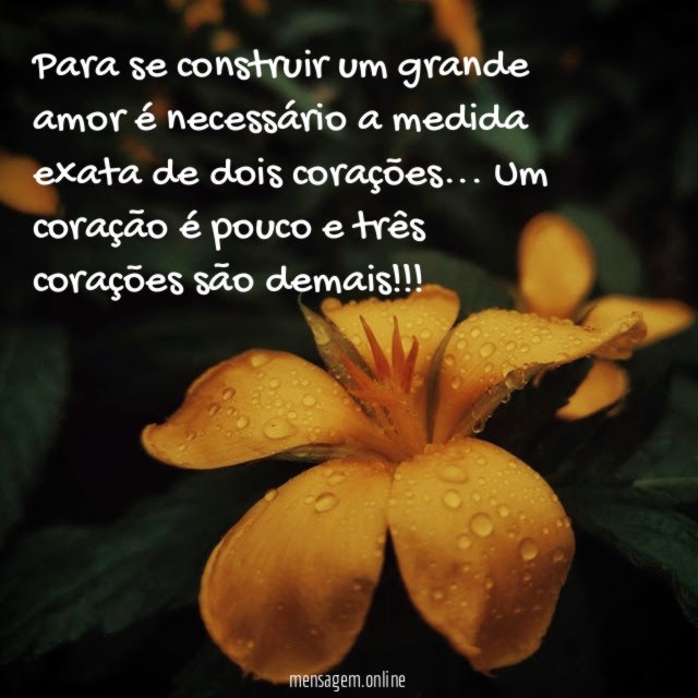Para se construir um grande amor é necessário