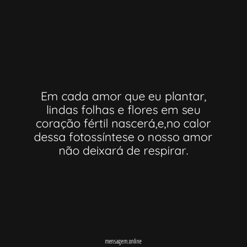 Em cada amor que eu plantar