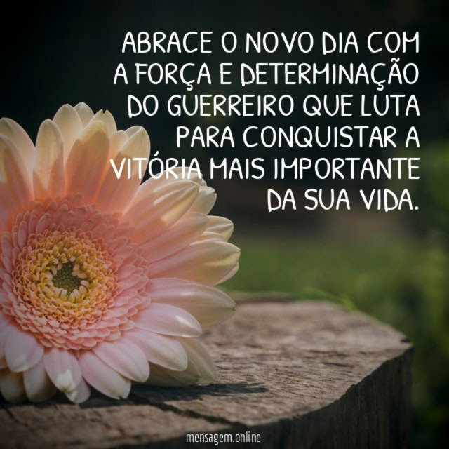 Abrace o novo dia com a força
