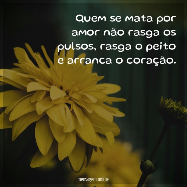 Quem se mata por amor não rasga os pulsos