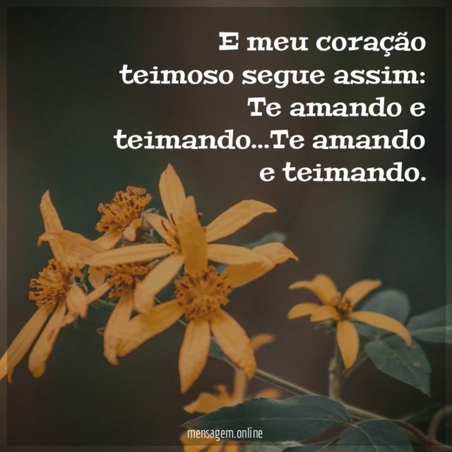 E meu coração teimoso segue assim
