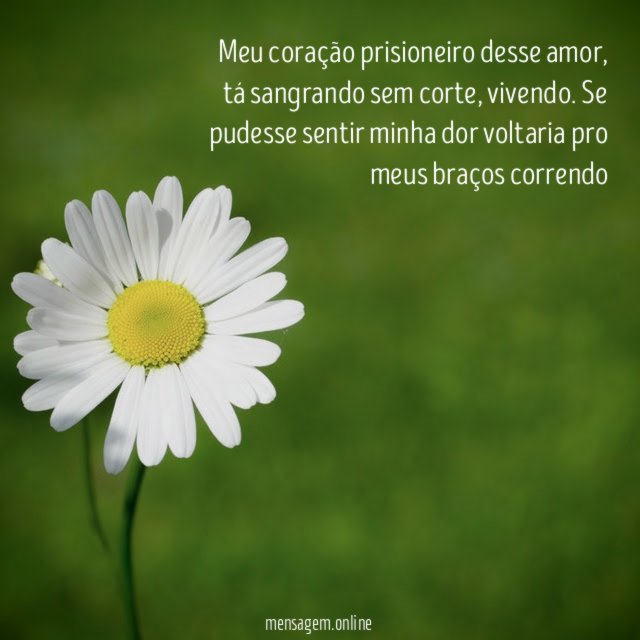 Meu coração prisioneiro desse amor