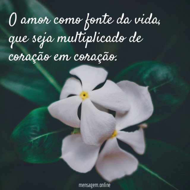O amor como fonte da vida