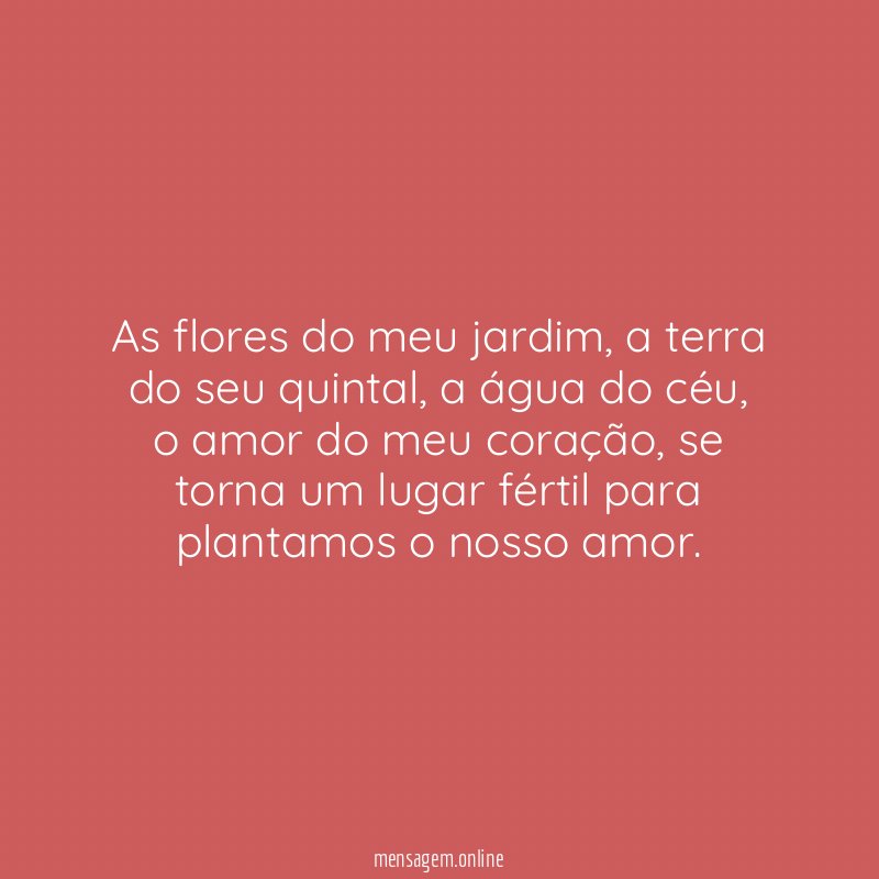 As flores do meu jardim