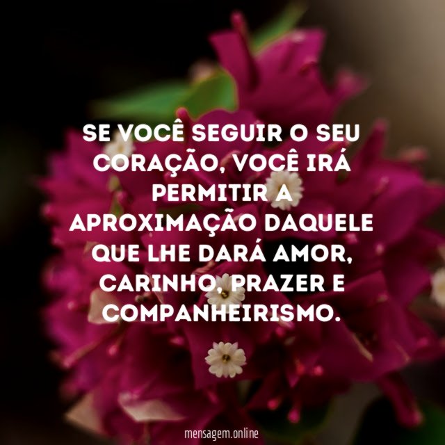 Se você seguir o seu coração