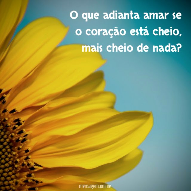 O que adianta amar se o coração está cheio