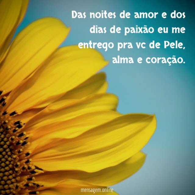 Das noites de amor e dos dias de