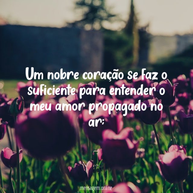 Um nobre coração se faz o suficiente para