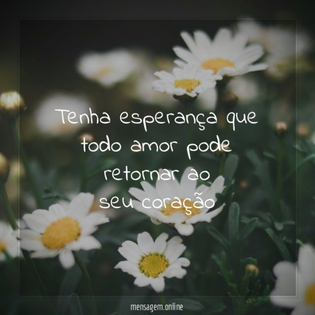 Tenha esperança que todo amor pode retornar ao seu coração