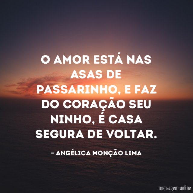 O amor está nas asas de passarinho