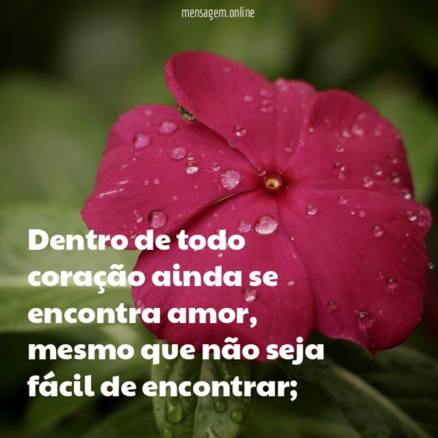 Dentro de todo coração ainda se encontra amor