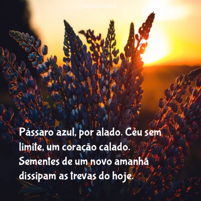 Pássaro azul