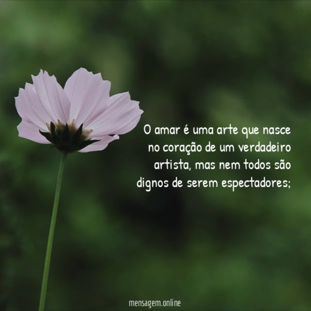 O amar é uma arte que nasce no