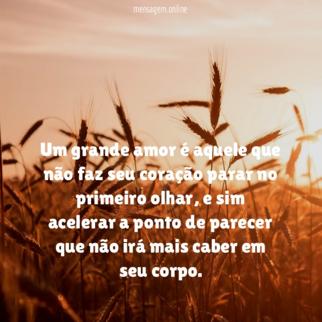 Um grande amor é aquele que não faz