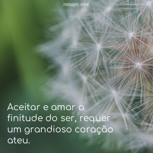 Aceitar e amar a finitude do ser