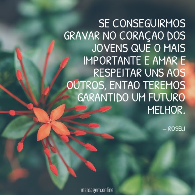 SE CONSEGUIRMOS GRAVAR NO CORAÇAO DOS JOVENS QUE