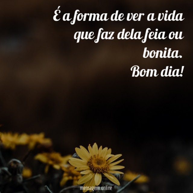 É a forma de ver a vida que faz dela feia ou bonita