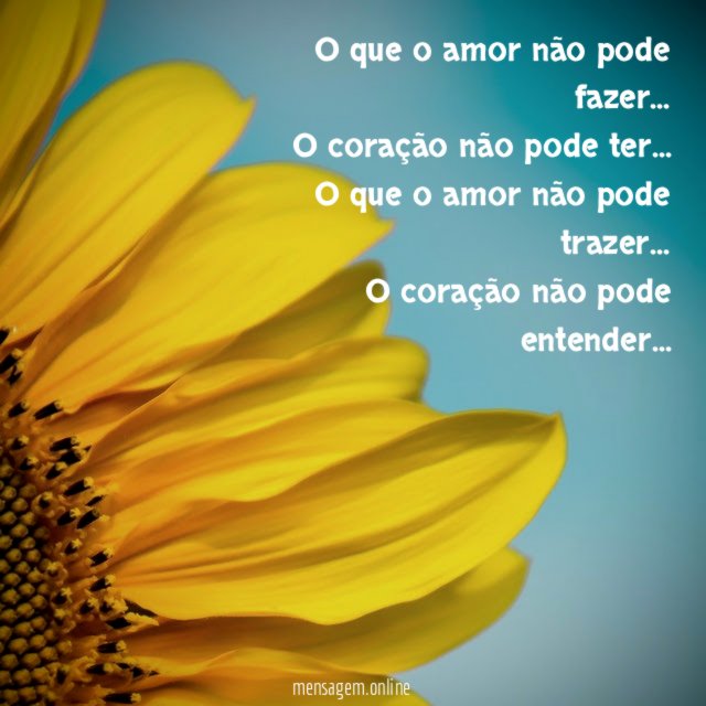 O que o amor não pode fazer