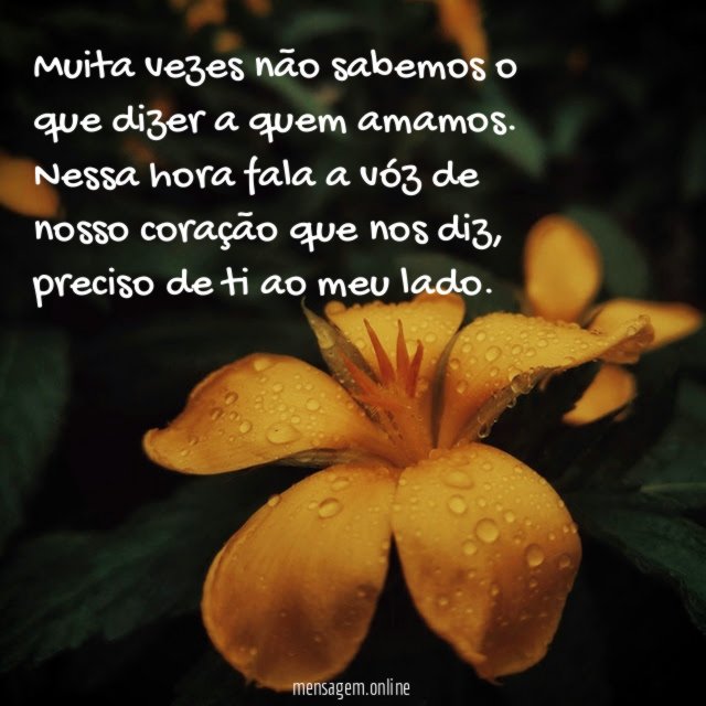 Muita vezes não sabemos o que dizer a quem amamos