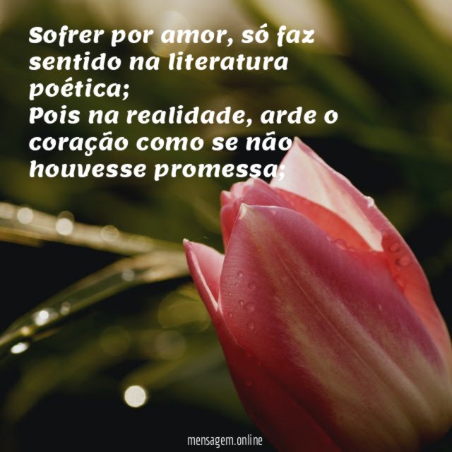 Sofrer por amor