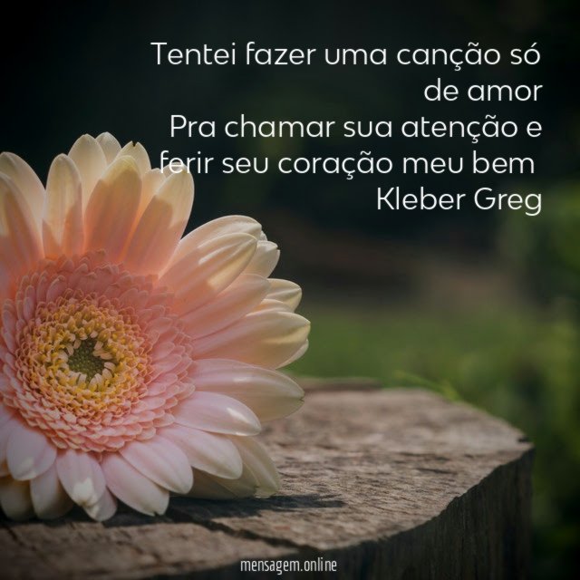 Tentei fazer uma canção só de amor
Pra chamar sua atenção e ferir seu coração meu bem ♥